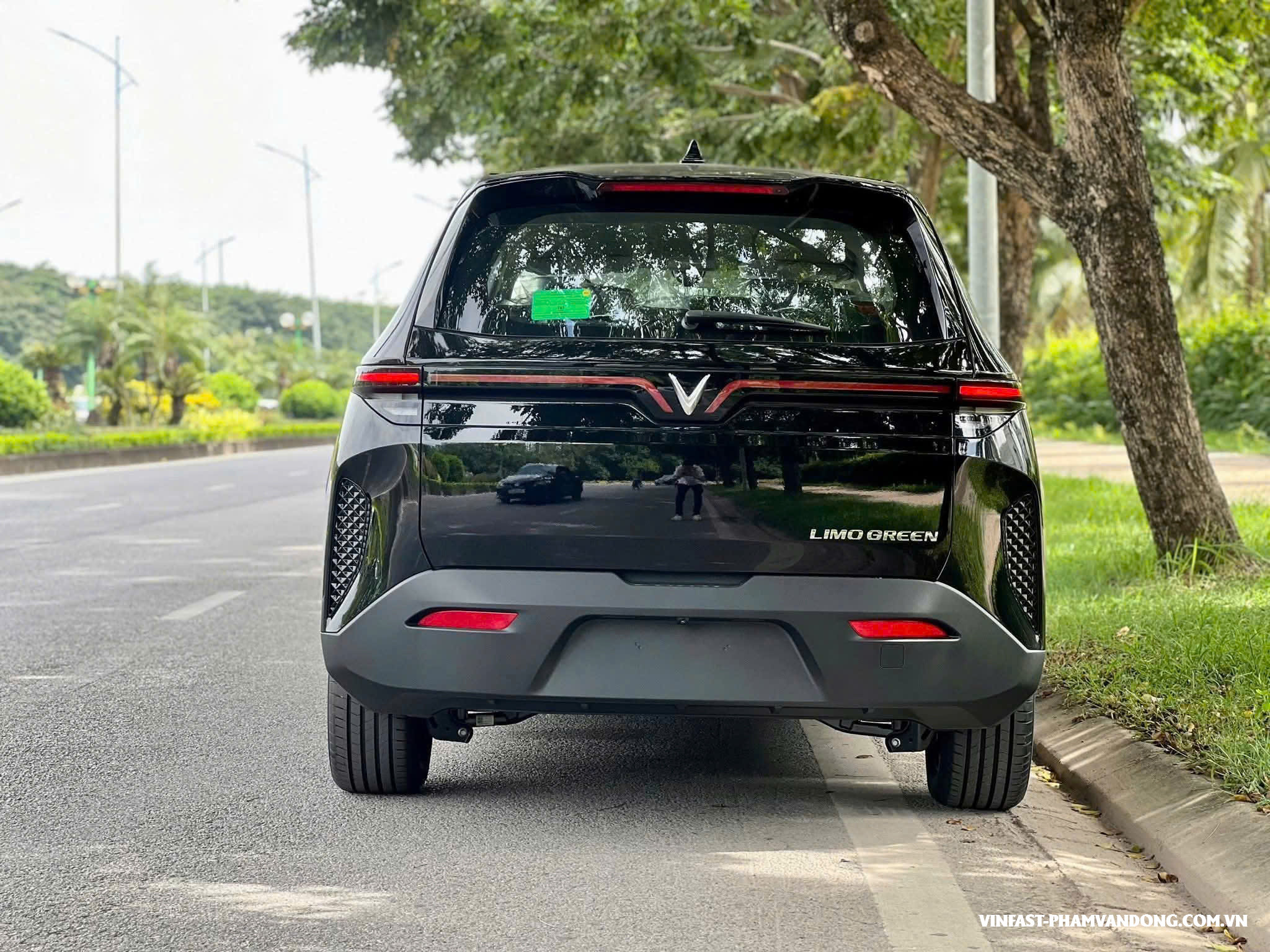 Limo Green - Ảnh 3